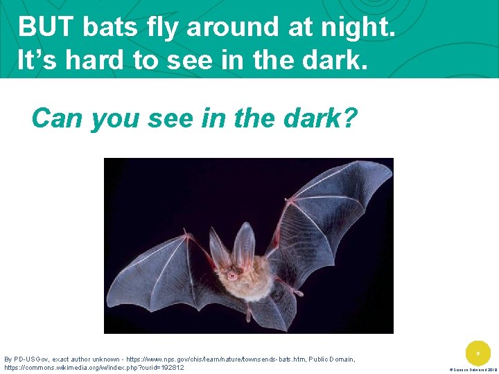 BUT bats fly around at night. It’s hard to see in the dark. Can