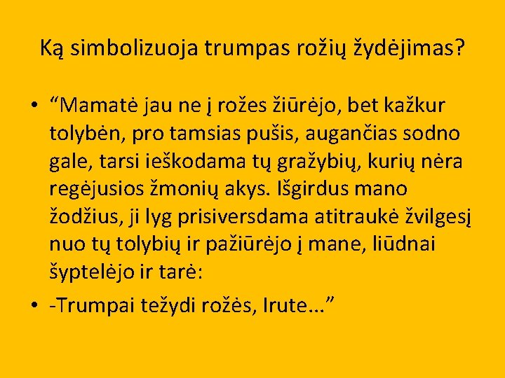 Ką simbolizuoja trumpas rožių žydėjimas? • “Mamatė jau ne į rožes žiūrėjo, bet kažkur