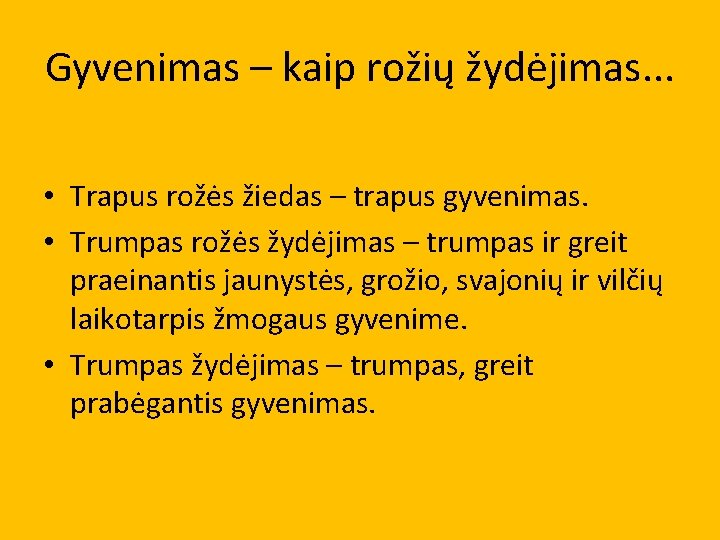 Gyvenimas – kaip rožių žydėjimas. . . • Trapus rožės žiedas – trapus gyvenimas.