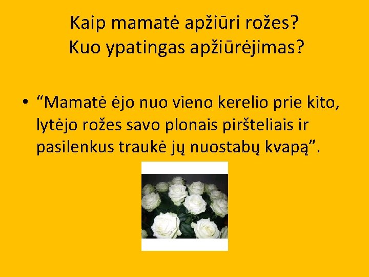 Kaip mamatė apžiūri rožes? Kuo ypatingas apžiūrėjimas? • “Mamatė ėjo nuo vieno kerelio prie