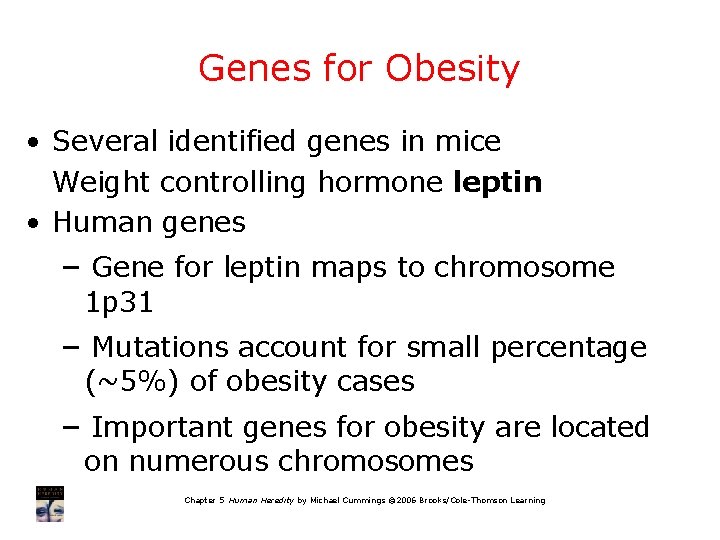 Genes for Obesity • Several identified genes in mice Weight controlling hormone leptin •