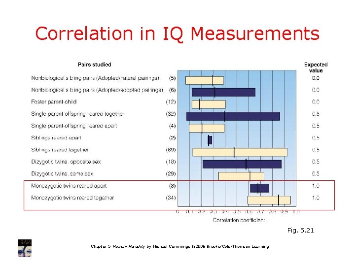 Correlation in IQ Measurements Fig. 5. 21 Chapter 5 Human Heredity by Michael Cummings