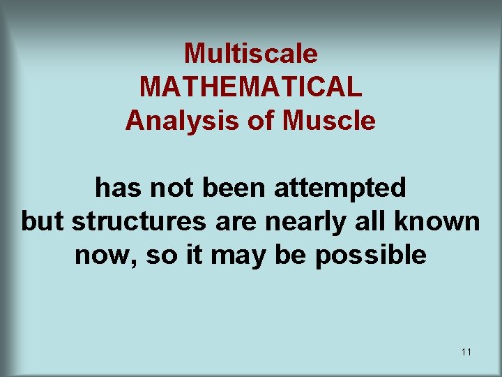 Multiscale MATHEMATICAL Analysis of Muscle has not been attempted but structures are nearly all