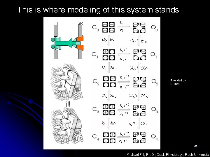 This is where modeling of this system stands Provided by E. Rios. 35 Michael