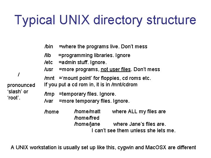 Typical UNIX directory structure / pronounced ‘slash’ or ‘root’. /bin =where the programs live.
