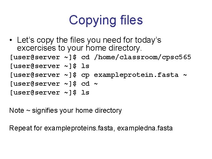 Copying files • Let’s copy the files you need for today’s excercises to your