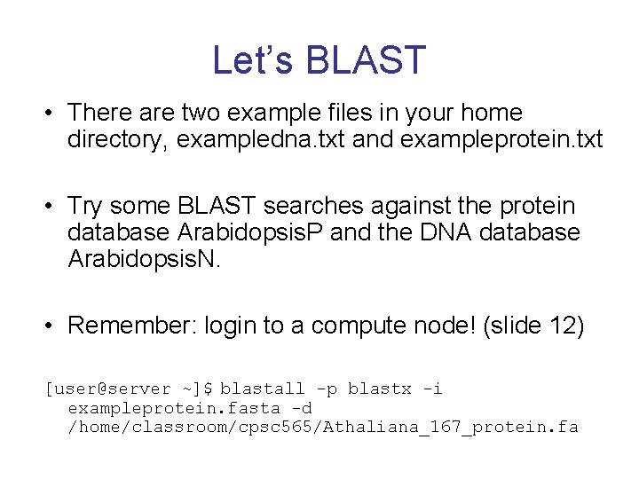 Let’s BLAST • There are two example files in your home directory, exampledna. txt