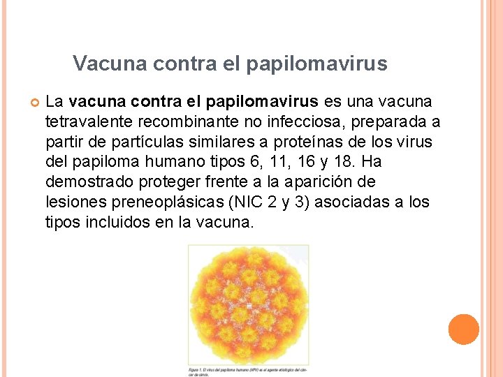 Vacuna contra el papilomavirus La vacuna contra el papilomavirus es una vacuna tetravalente recombinante