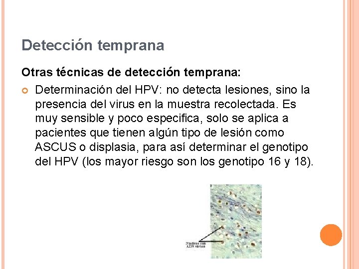 Detección temprana Otras técnicas de detección temprana: Determinación del HPV: no detecta lesiones, sino