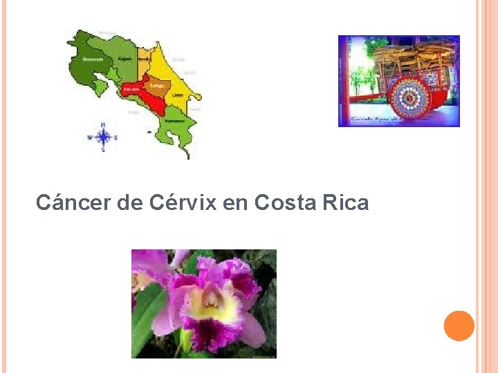 Cáncer de Cérvix en Costa Rica 