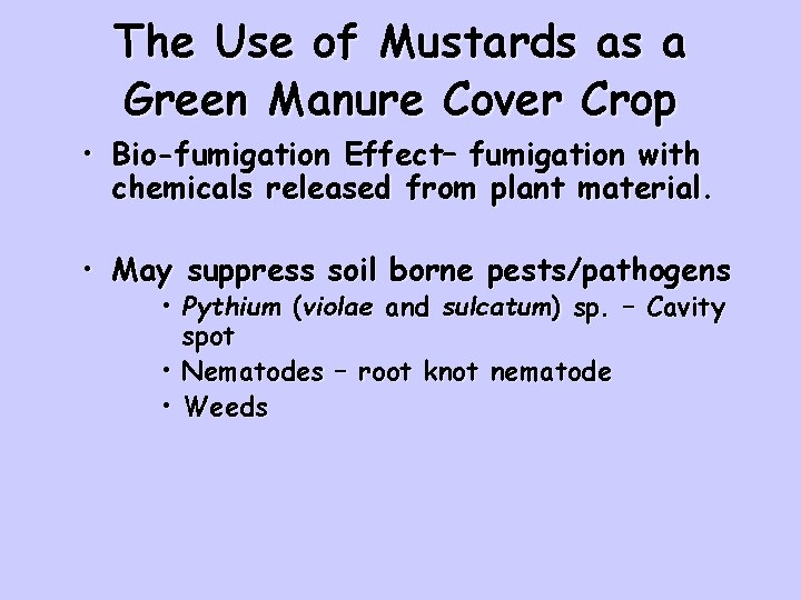 The Use of Mustards as a Green Manure Cover Crop • Bio-fumigation Effect– fumigation