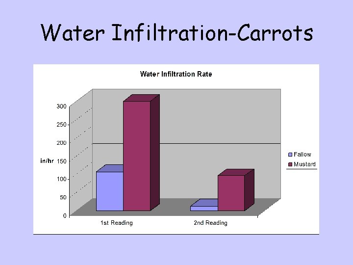 Water Infiltration-Carrots 
