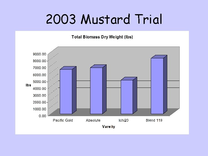 2003 Mustard Trial 