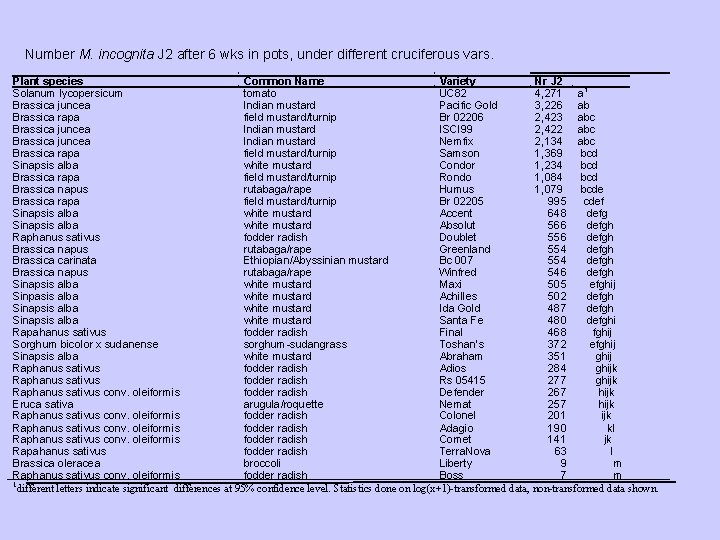 Number M. incognita J 2 after 6 wks in pots, under different cruciferous vars.