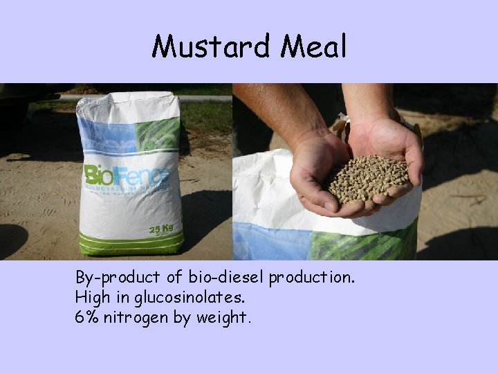 Mustard Meal By-product of bio-diesel production. High in glucosinolates. 6% nitrogen by weight. 