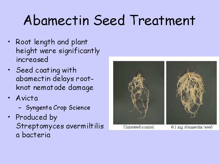 Abamectin Seed Treatment • Root length and plant height were significantly increased • Seed