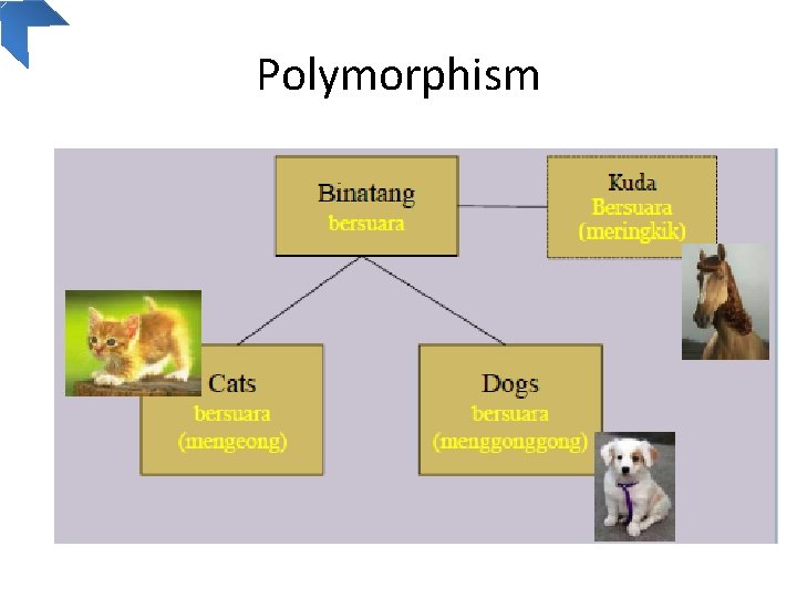 Polymorphism 