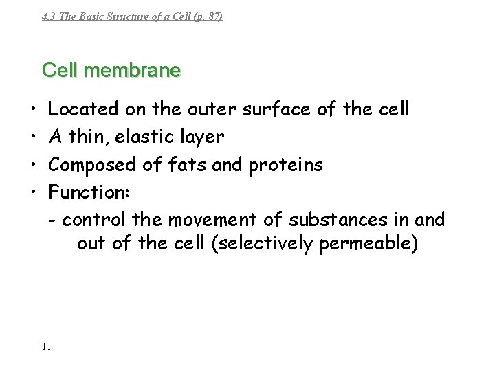 4. 3 The Basic Structure of a Cell (p. 87) Cell membrane • •