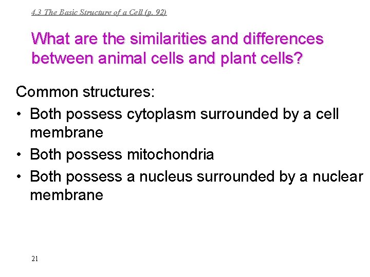 4. 3 The Basic Structure of a Cell (p. 92) What are the similarities