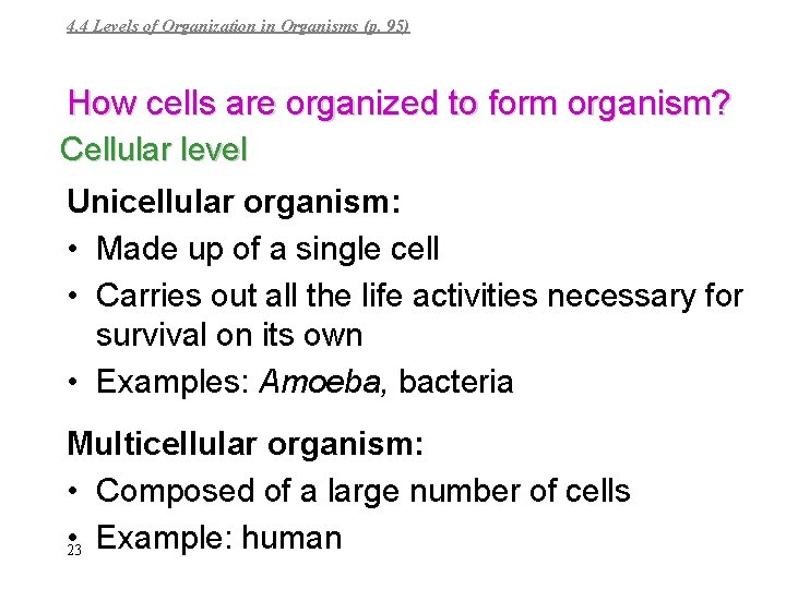 4. 4 Levels of Organization in Organisms (p. 95) How cells are organized to