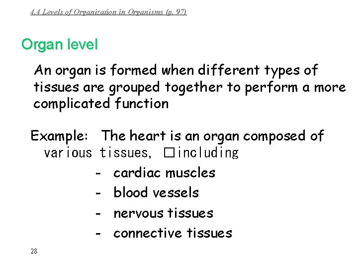 4. 4 Levels of Organization in Organisms (p. 97) Organ level An organ is