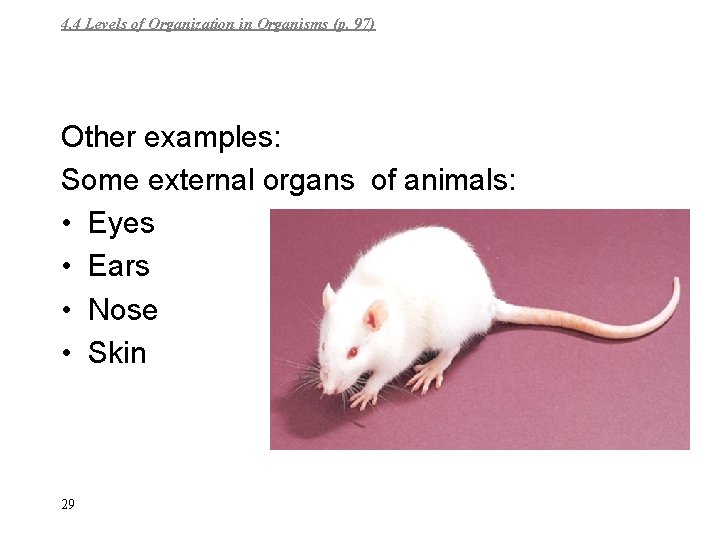 4. 4 Levels of Organization in Organisms (p. 97) Other examples: Some external organs