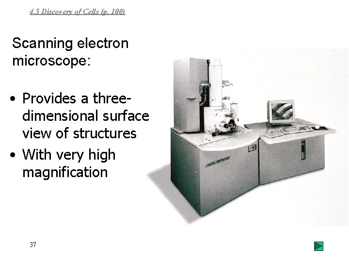 4. 5 Discovery of Cells (p. 100) Scanning electron microscope: • Provides a threedimensional