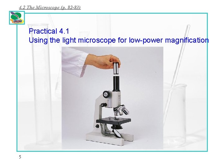 4. 2 The Microscope (p. 82 -83) Practical 4. 1 Using the light microscope