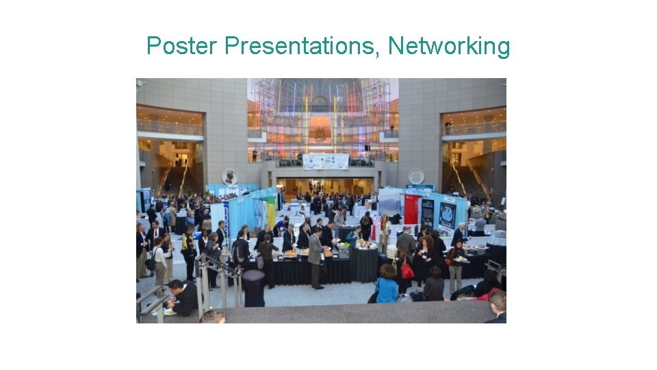 Poster Presentations, Networking 