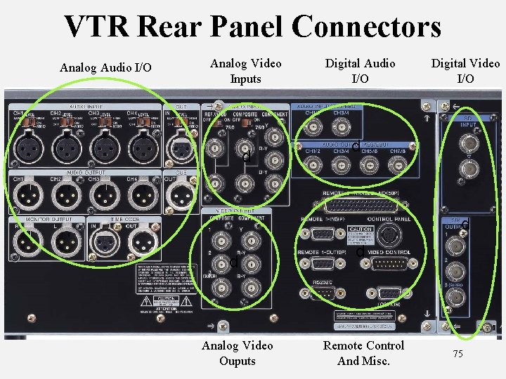 VTR Rear Panel Connectors Analog Audio I/O Analog Video Inputs d Digital Audio I/O