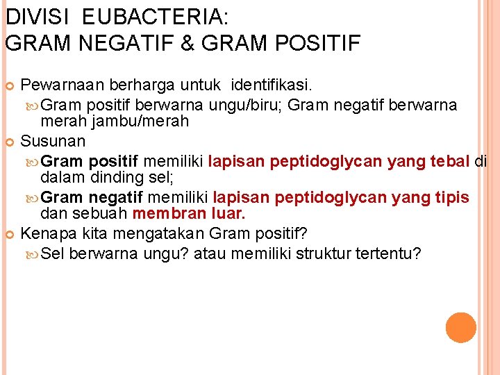 DIVISI EUBACTERIA: GRAM NEGATIF & GRAM POSITIF 10 Pewarnaan berharga untuk identifikasi. Gram positif