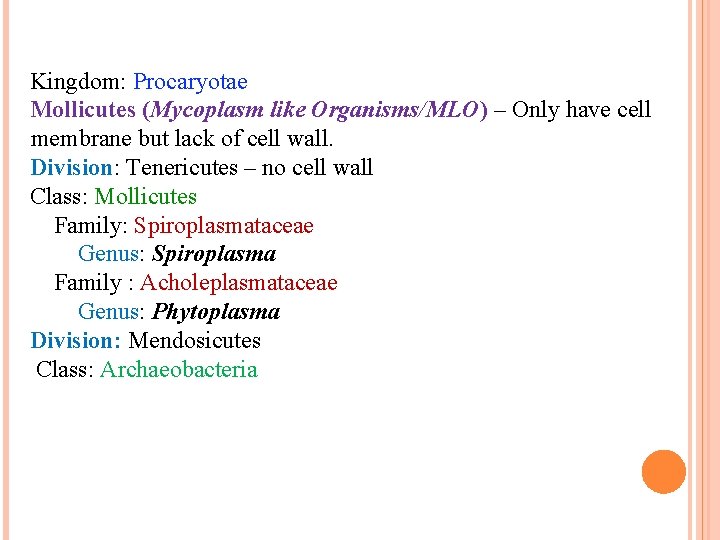 Kingdom: Procaryotae Mollicutes (Mycoplasm like Organisms/MLO) – Only have cell membrane but lack of