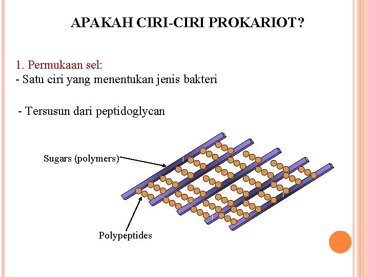 APAKAH CIRI-CIRI PROKARIOT? 1. Permukaan sel: - Satu ciri yang menentukan jenis bakteri -