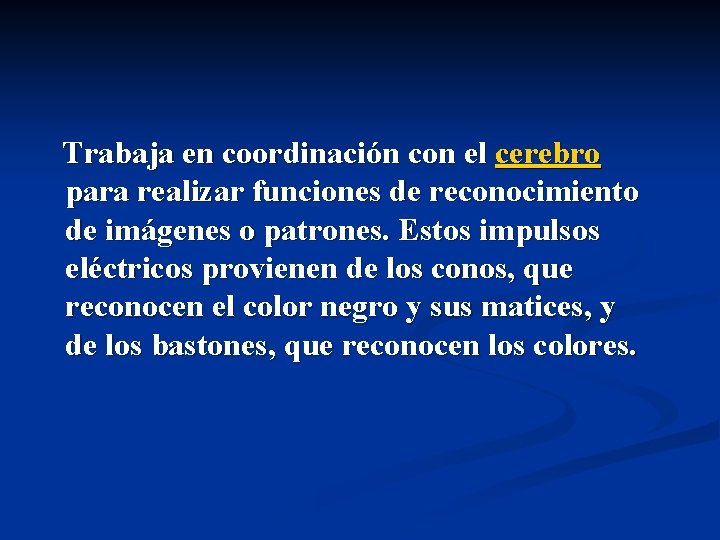 Trabaja en coordinación con el cerebro para realizar funciones de reconocimiento de imágenes o