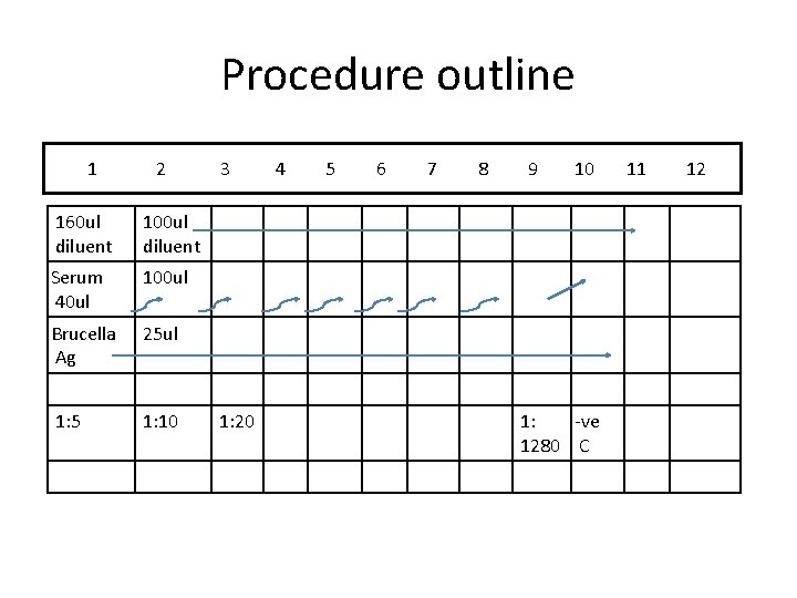 Procedure outline 1 2 160 ul diluent 100 ul diluent Serum 40 ul 100