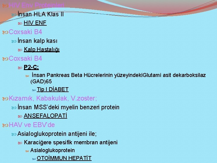  HIV Env Proteinleri İnsan HLA Klas II HIV ENF Coxsaki B 4 İnsan