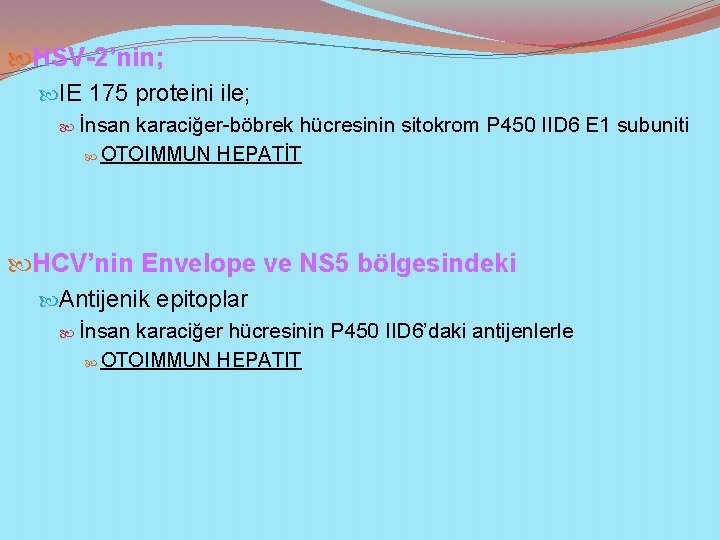  HSV-2’nin; IE 175 proteini ile; İnsan karaciğer-böbrek hücresinin sitokrom P 450 IID 6