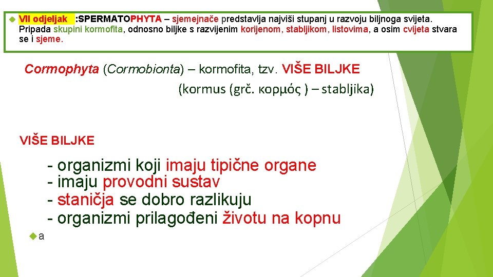  VII odjeljak : SPERMATOPHYTA – sjemejnače predstavlja najviši stupanj u razvoju biljnoga svijeta.