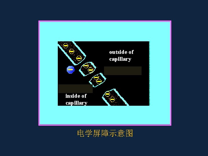 outside of capillary inside of capillary 电学屏障示意图 