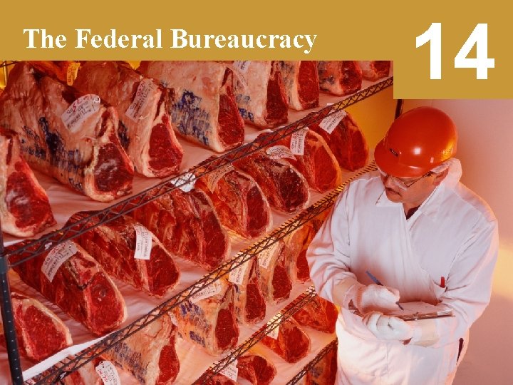 The Federal Bureaucracy 14 