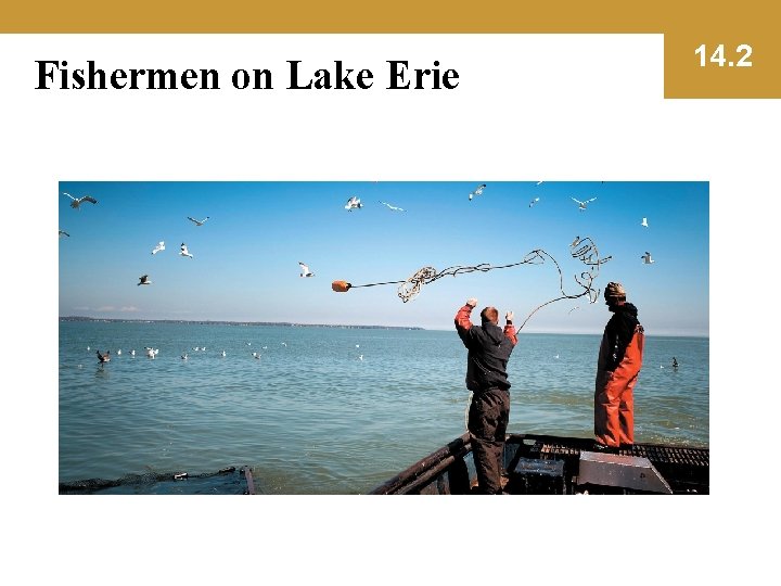 Fishermen on Lake Erie 14. 2 