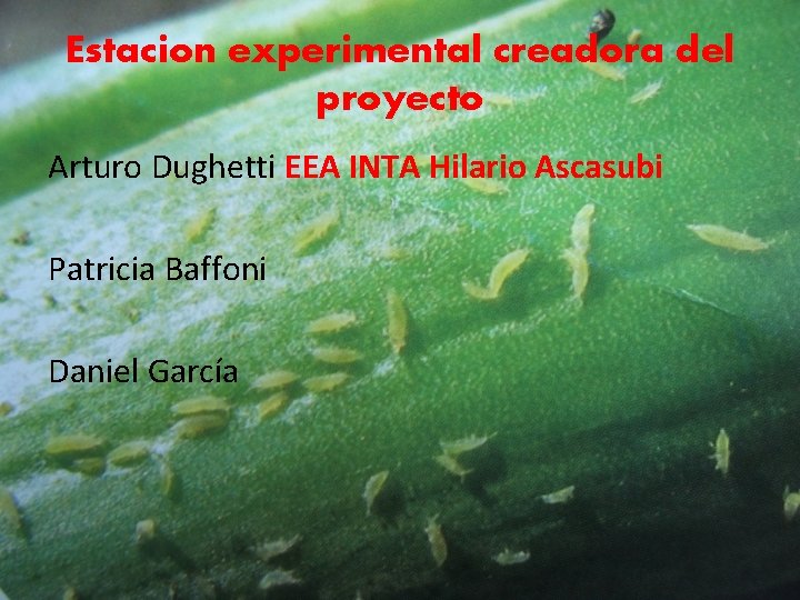 Estacion experimental creadora del proyecto Arturo Dughetti EEA INTA Hilario Ascasubi Patricia Baffoni Daniel