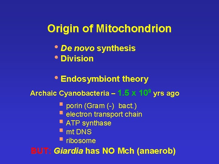 Origin of Mitochondrion • De novo synthesis • Division • Endosymbiont theory Archaic Cyanobacteria