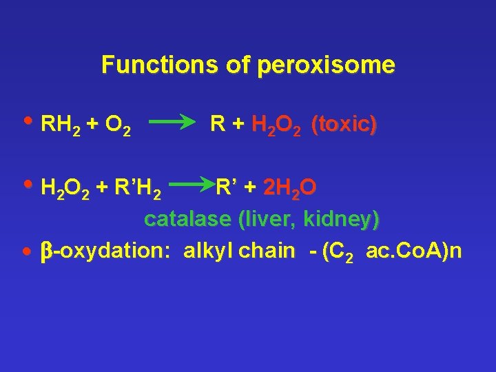 Functions of peroxisome • RH 2 + O 2 • H 2 O 2