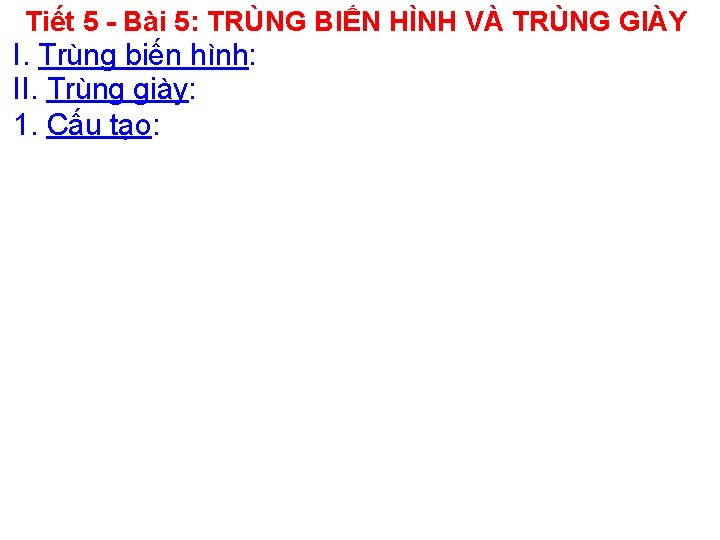 Tiết 5 - Bài 5: TRÙNG BIẾN HÌNH VÀ TRÙNG GIÀY I. Trùng biến