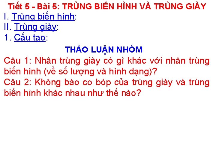 Tiết 5 - Bài 5: TRÙNG BIẾN HÌNH VÀ TRÙNG GIÀY I. Trùng biến