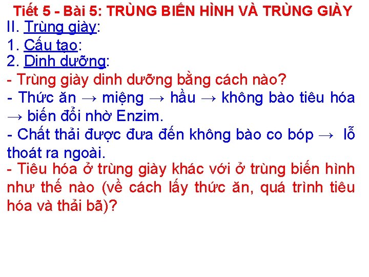 Tiết 5 - Bài 5: TRÙNG BIẾN HÌNH VÀ TRÙNG GIÀY II. Trùng giày: