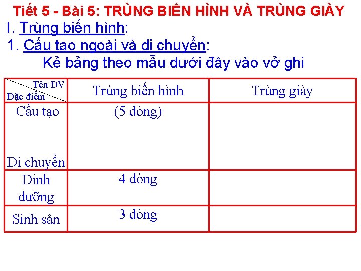 Tiết 5 - Bài 5: TRÙNG BIẾN HÌNH VÀ TRÙNG GIÀY I. Trùng biến