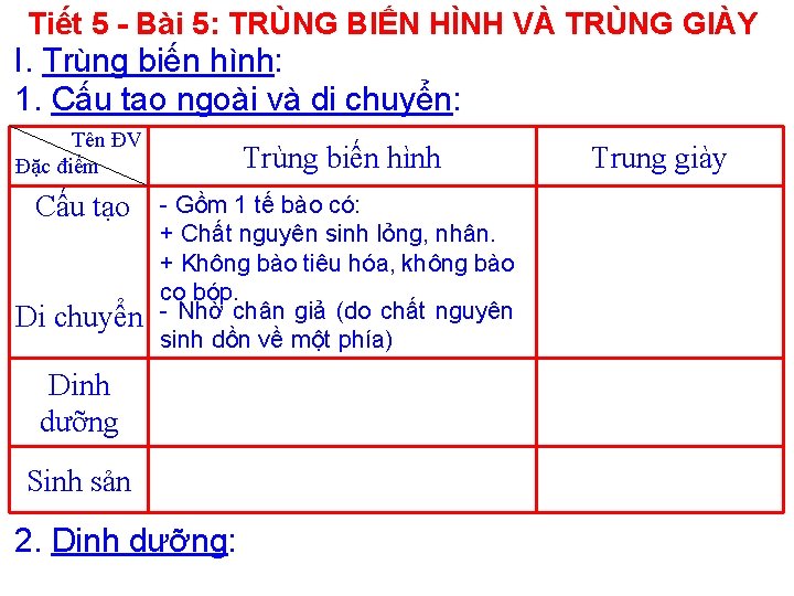 Tiết 5 - Bài 5: TRÙNG BIẾN HÌNH VÀ TRÙNG GIÀY I. Trùng biến