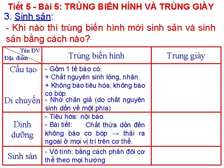 Tiết 5 - Bài 5: TRÙNG BIẾN HÌNH VÀ TRÙNG GIÀY 3. Sinh sản: